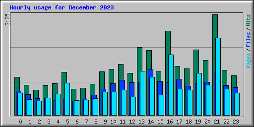 Hourly usage for December 2023